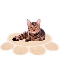 Kattenbak matten